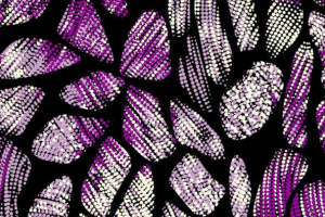 紫白渐变花卉面料印花 时尚服装印花设计素材