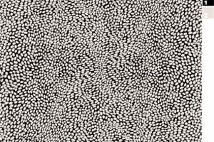 时尚黑白点阵面料印花 服装印花素材推荐