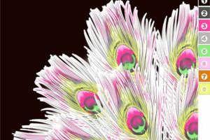 绚丽孔雀羽毛面料印花 时尚女装设计素材