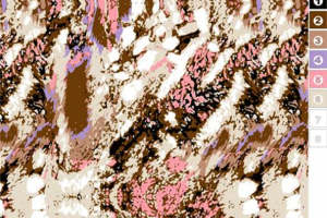 复古艺术风面料印花素材 时尚服装印花设计灵感