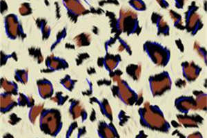 经典豹纹面料印花素材 服装印花设计必备