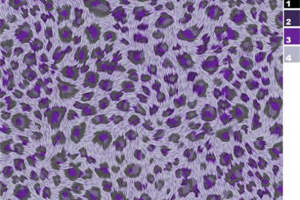 时尚紫色豹纹面料印花素材，打造个性服装印花设计