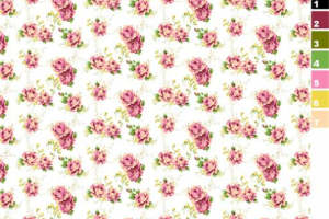 复古粉色玫瑰面料印花素材 服装印花设计必备