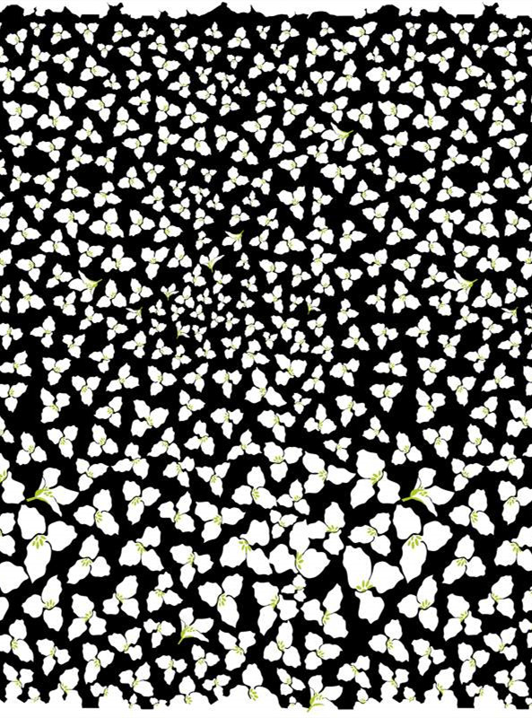 经典黑白碎花面料印花 时尚服装印花素材推荐