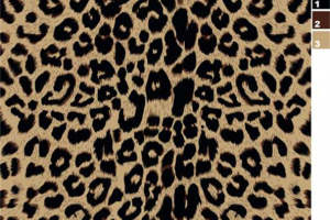 经典豹纹面料印花素材 时尚服装印花设计必备