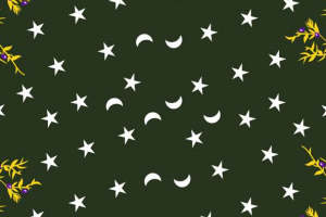 复古星空花卉面料印花素材