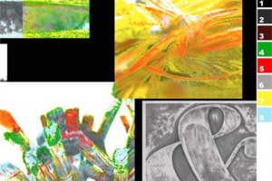 多元艺术风格面料印花素材 创意服装印花设计灵感