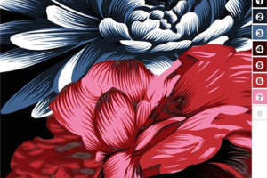 复古蓝红花卉图案 高端服装印花素材推荐