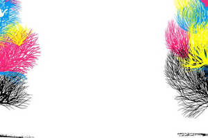 时尚对称设计 彩色羽毛纹理 服装印花素材推荐