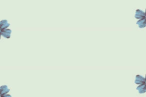 清新蓝花边框面料印花 时尚服装印花素材推荐