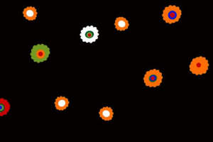 时尚花卉面料印花素材 创意服装印花设计灵感