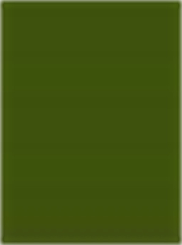 橄榄绿纯色面料印花素材,适用于服装印花设计