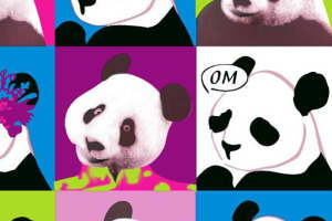 创意熊猫波普风面料印花素材，时尚服装印花设计灵感