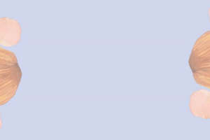 淡紫背景贝壳花瓣 服装印花素材