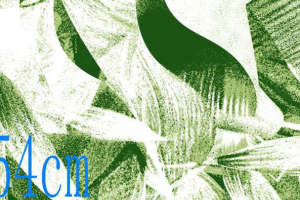 清新热带植物面料印花素材 服装印花设计灵感