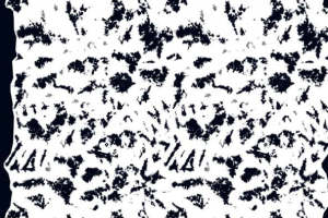 独特黑白纹理面料印花素材，打造个性服装