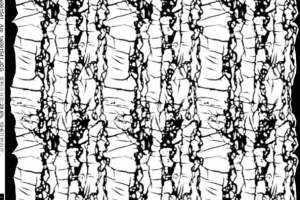 抽象线条纹理面料印花素材 时尚服装印花设计灵感