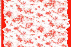 独特红色树枝纹理面料印花素材 适用于秋冬服装印花设计