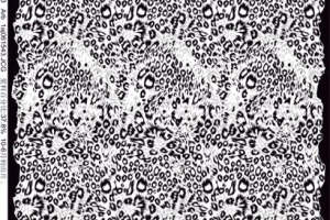 经典黑白豹纹面料印花素材 服装印花设计必备