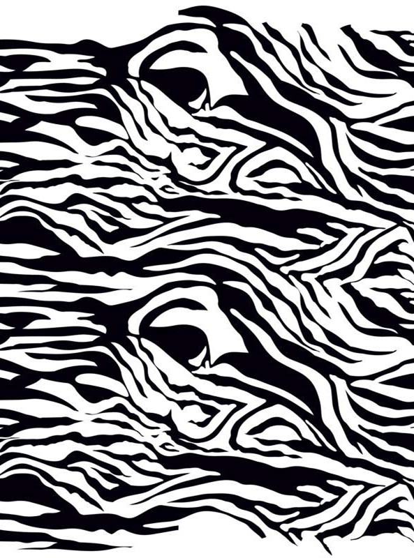 时尚黑白斑马纹面料印花素材,适用于服装印花设计