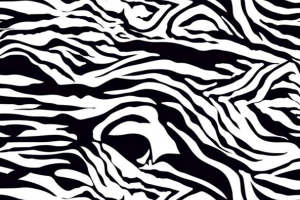 时尚黑白斑马纹面料印花素材，适用于服装印花设计