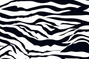 经典斑马纹面料印花素材 时尚服装印花设计灵感