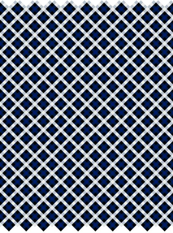 经典蓝白格纹面料印花,塑造个性服装风格