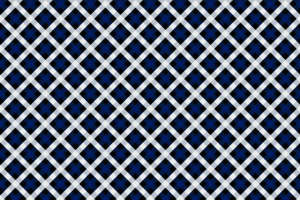 经典蓝白格纹面料印花，塑造个性服装风格