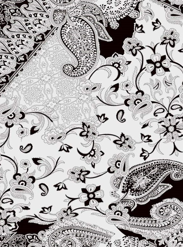 经典黑白佩斯利花纹服装印花素材 复古面料设计灵感