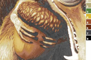 卡通松鼠抱坚果 趣味面料印花素材推荐