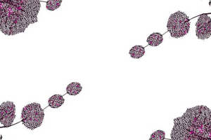 艺术花鸟面料印花素材 服装印花设计
