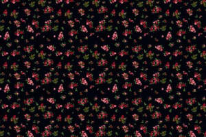 复古红碎花面料印花 经典小清新服装印花素材