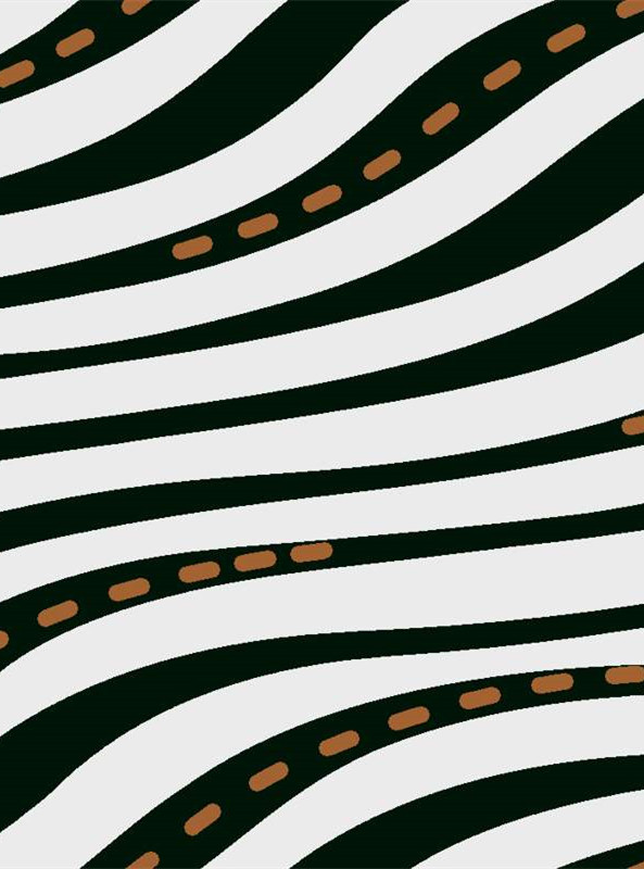 现代斑马纹面料印花 创意服装印花设计素材