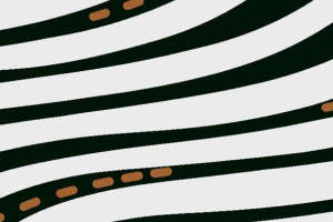 现代斑马纹面料印花 创意服装印花设计素材