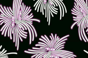 时尚面料印花素材：现代几何花卉图案