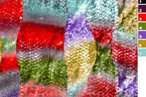 时尚多彩服装印花素材：抽象纹理设计灵感