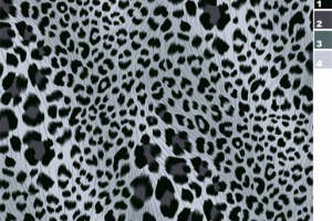 时尚黑白豹纹面料印花素材 适用于服装印花设计