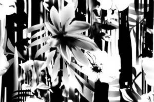 艺术花卉面料印花素材 时尚服装印花设计灵感