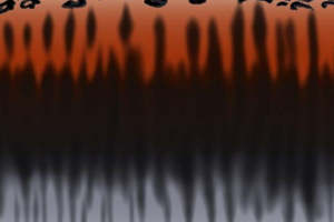 时尚豹纹渐变面料印花设计素材