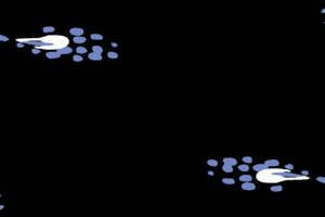 潮流服装印花设计：黑底蓝白抽象纹理素材