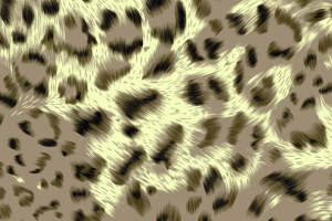 时尚豹纹面料印花 服装印花素材推荐