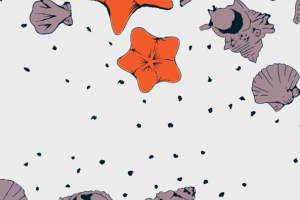 海洋风面料印花素材 海星贝壳图案