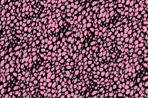 时尚粉色斑点面料印花素材 服装印花设计灵感