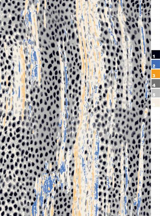 时尚面料印花素材:抽象斑点与条纹设计