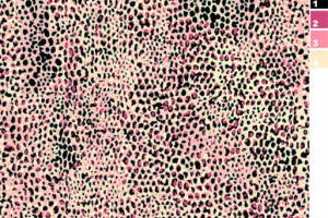 粉色豹纹面料印花素材 时尚服装印花设计灵感