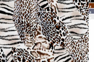 高端动物纹服装印花素材，多风格拼接设计