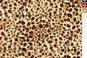 时尚豹纹面料印花设计，适用于服装印花的奢华纹理素材