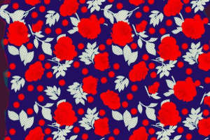 复古红玫瑰波点面料印花素材