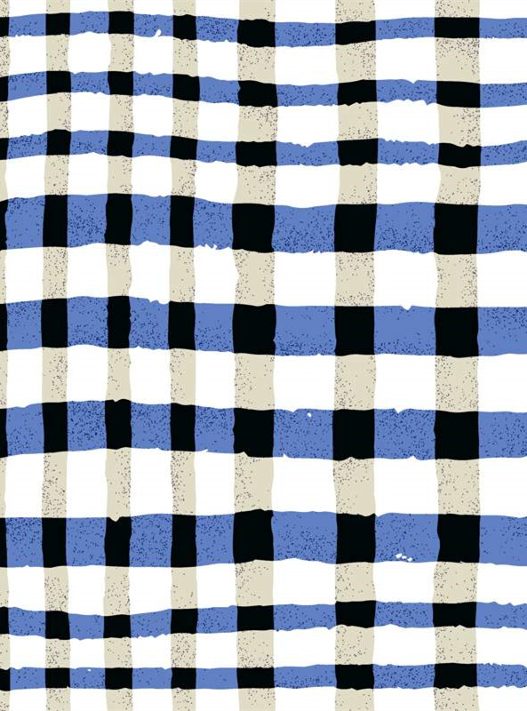 经典蓝白格纹服装印花设计素材推荐