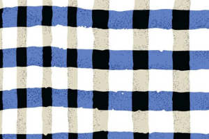 经典蓝白格纹服装印花设计素材推荐